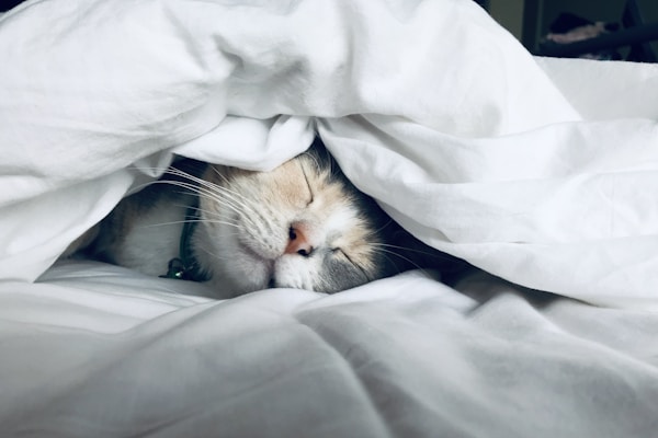 Sleep and cognitive health